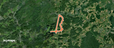 Wanderweg E8 / Alte Bäume