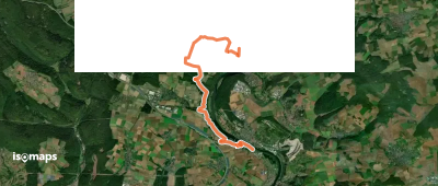 Ortswanderweg Marktheidenfeld 5