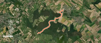 Draßburg - Kogel (Nordic Walking)