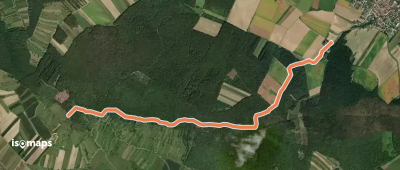 Baumgarten - Kogel (Nordic Walking)