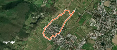 Freigut Thallern Runde bei Gumpoldskirchen
