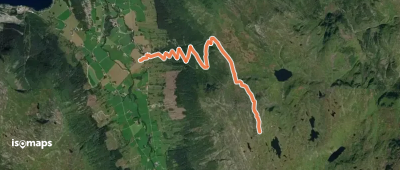 OSM Route 7728085