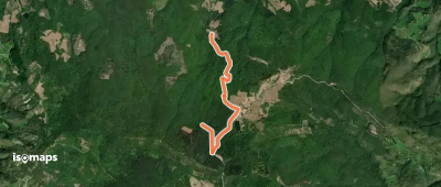 OSM Route 7738748