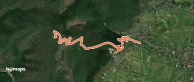 Pfälzerwald Grüner Punkt