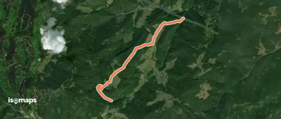 Steinwandgraben - Pogra - Berg - Steinwandklamm