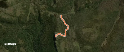 Mount Pillinger Summit Track