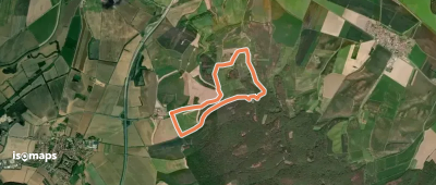 Hohe Schrecke Enzian Wiesenweg