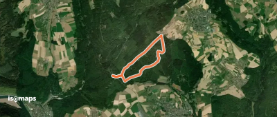 Rundwanderweg Kohlplatte 5: Forstwald-Weg