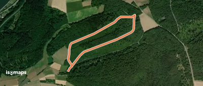 Rundwanderweg Binauer Forst 2: Wimmersbach-Weg