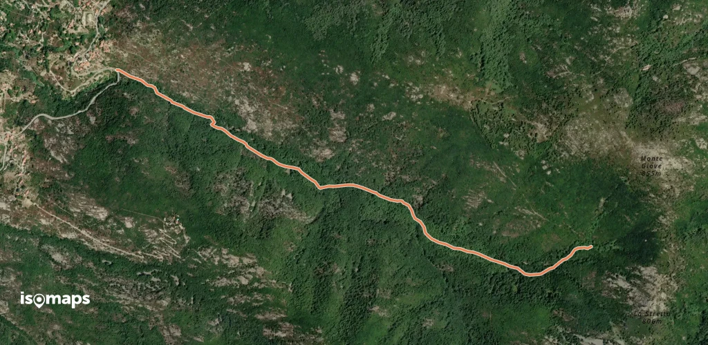 OSM Route 7853242
