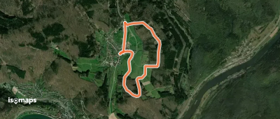 Rundwanderweg Darsberger Kapelle 7: Lanzenbach-Weg