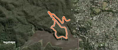 Araucaria Track
