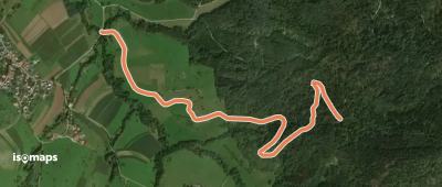 blaues Raute Linde bei Boll - Jungingen