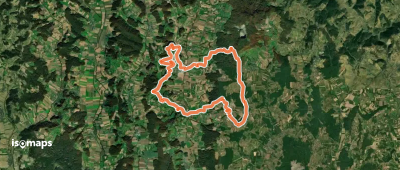 Um die Mitte
