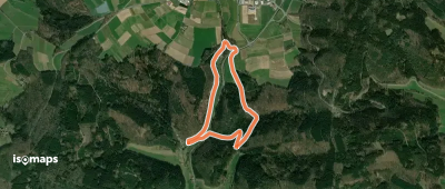 Rundwanderweg Beerfelden Gänsbuckel 1 : Bannholz-Weg