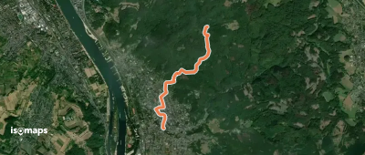 Rheinsteig-Zuweg Bad Honnef (Nord)