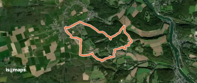 Bois de Warnant