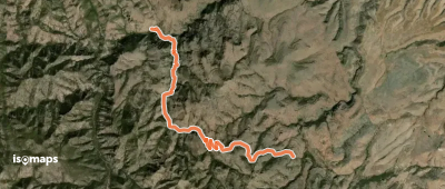 Sycamore Trail #278