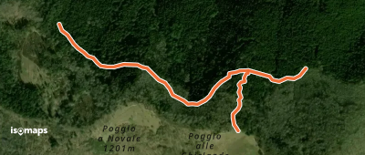 OSM Route 8137443