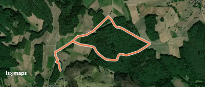 Rundwanderweg Brombachtal Böllsteiner Höhe 1: Hochwallbacher-Weg