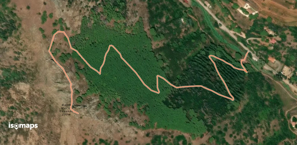 OSM Route 8213213