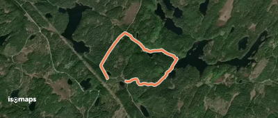 Korsvatten Grön