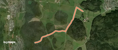 Zugangsweg - Ebingen - Weg Nr. 2 - Jausenteich - Richtung Bitz bis Markungsgrenze Bitz