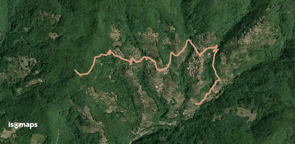 OSM Route 8308997