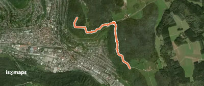 Querweg - Ebingen - Weg Nr. 7 - Schloßfelsen - Schleicherhütte