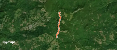 OSM Route 939294