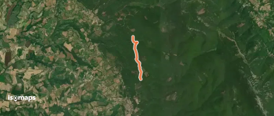 OSM Route 8384069