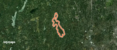 Yellow Loop