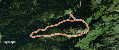 Urwaldspur