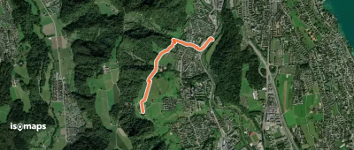 Ris - Leimbach