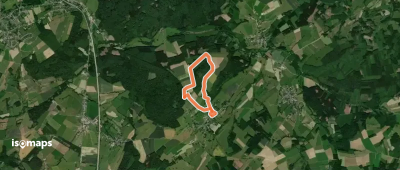 9. Promenade Orchidée