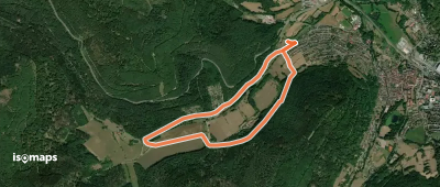 Rundwanderweg Amorbach Amorsbrunn 3: Otterbach-Weg