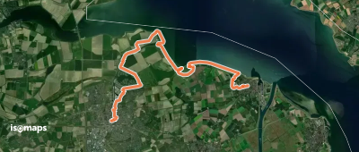 Oosterscheldepad - 16