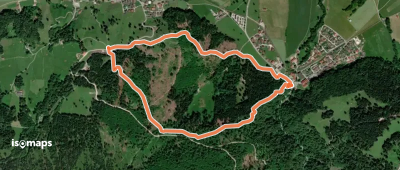 Sagenhafter Bergwald