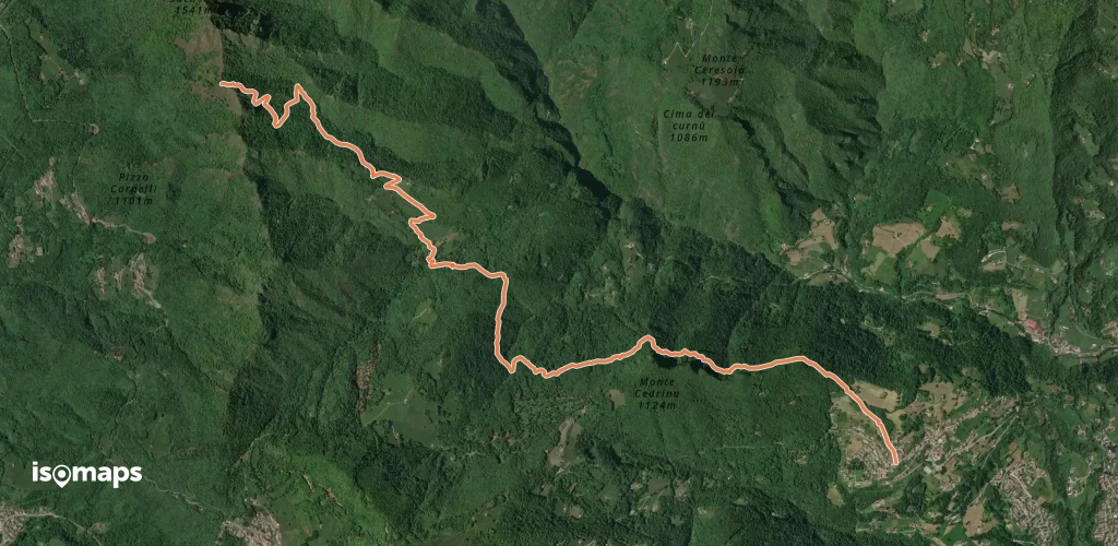 OSM Route 958261