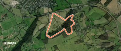 Woodland Walk