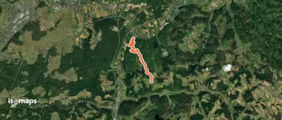Seebenstein - Weingart über Burg Seebenstein