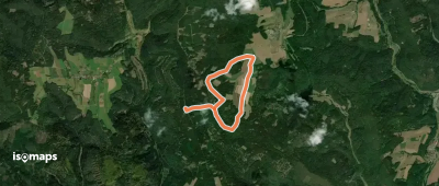 Rundwanderweg Kirchzell Wildschweinfütterung 9: Hainbuche-Weg