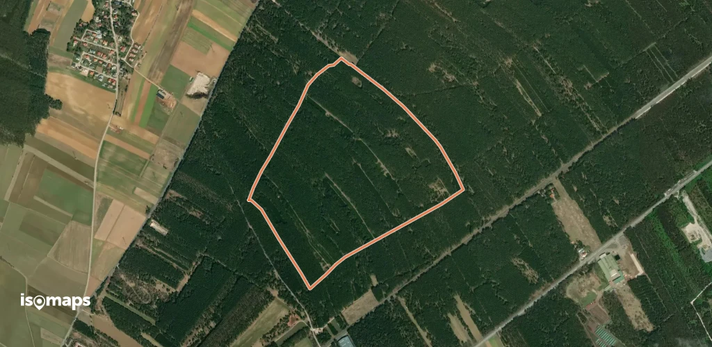 Laufstrecke Föhrenwald 3