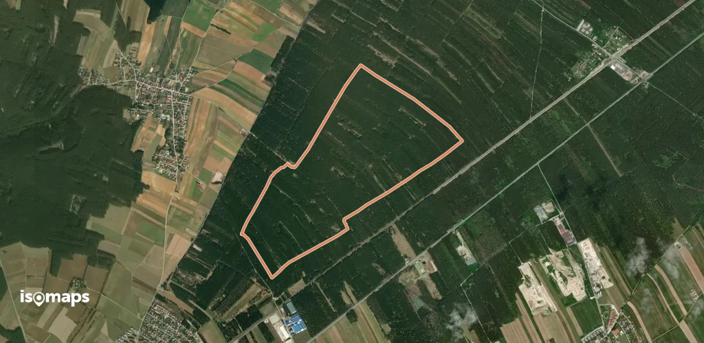 Laufstrecke Föhrenwald 2