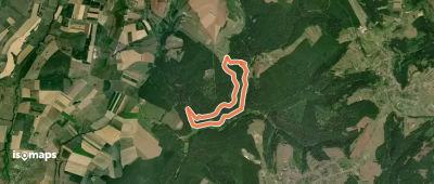 Yellow ring