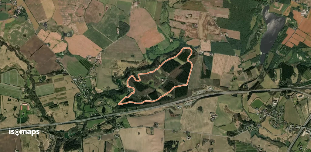 Lilla rute i Harde Skov