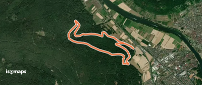 Rundwanderweg Kleinheubach Galgen 2: Birkenheckenweg