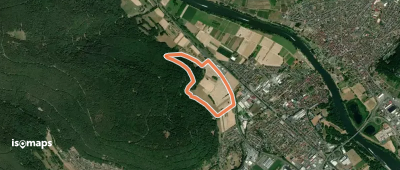 Rundwanderweg Kleinheubach Galgen 4: Panoramaweg