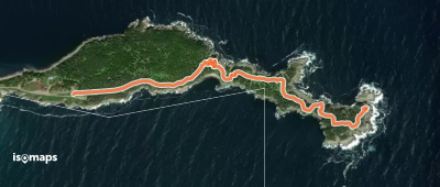 Middle head