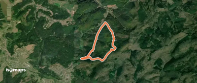Blue ring